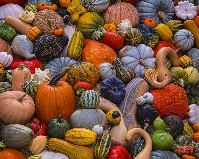 Vermont Christmas Autumn Harvest 1000-Piece Puzzle — image 4