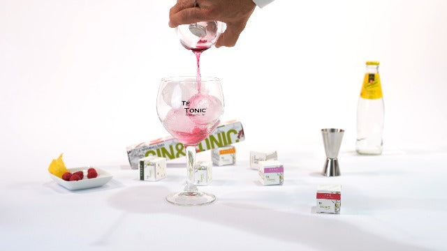 Te Tonic Gin & Tonic Infusion Tea Bags — 6 Count — image 15
