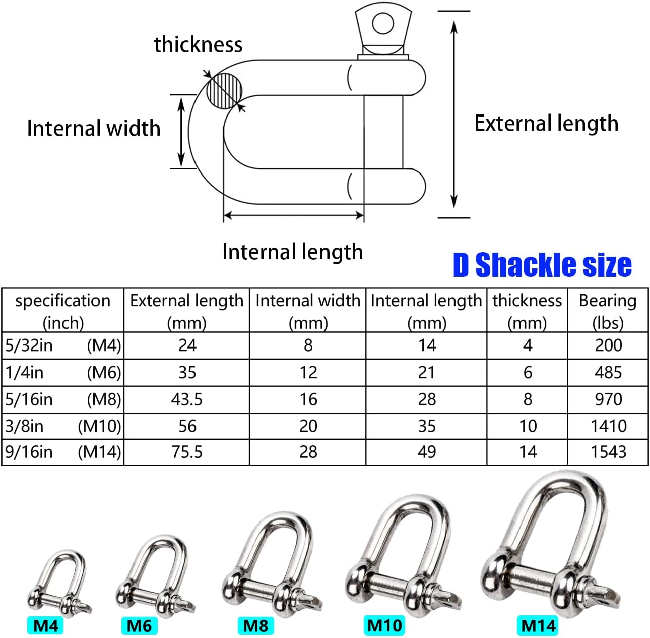 Reedny Stainless Steel 304 D-Shape Shackles — 5 Sizes — image 3
