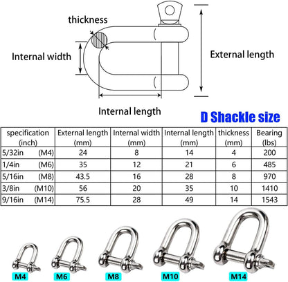 Reedny Stainless Steel 304 D-Shape Shackles — 5 Sizes — image 3