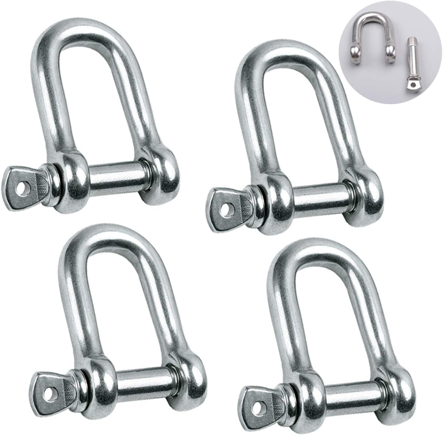 Reedny Stainless Steel 304 D-Shape Shackles — 5 Sizes